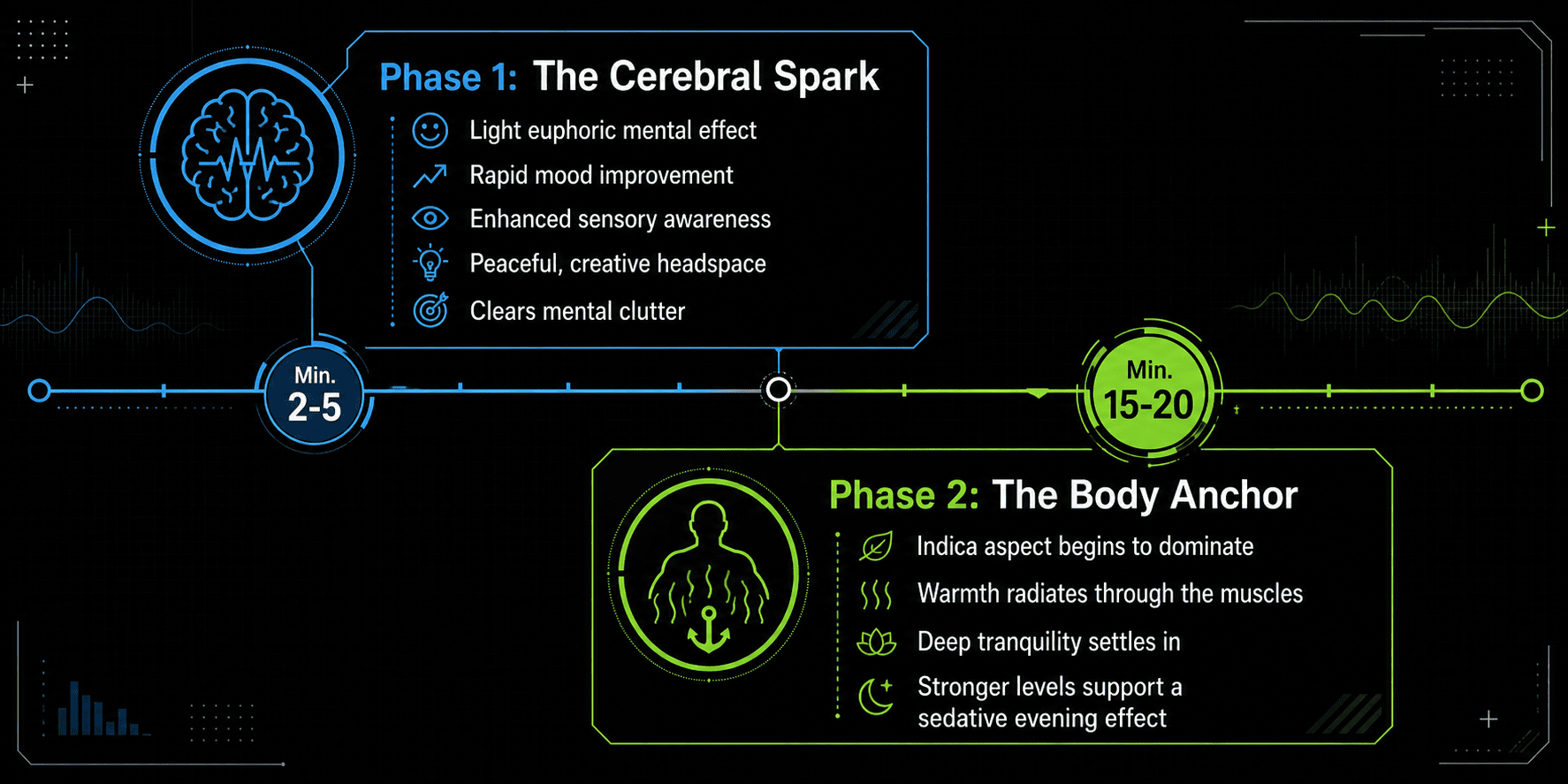 Understanding the Bi-Polar Effects Experience Understanding the Bi-Polar Effects Experience