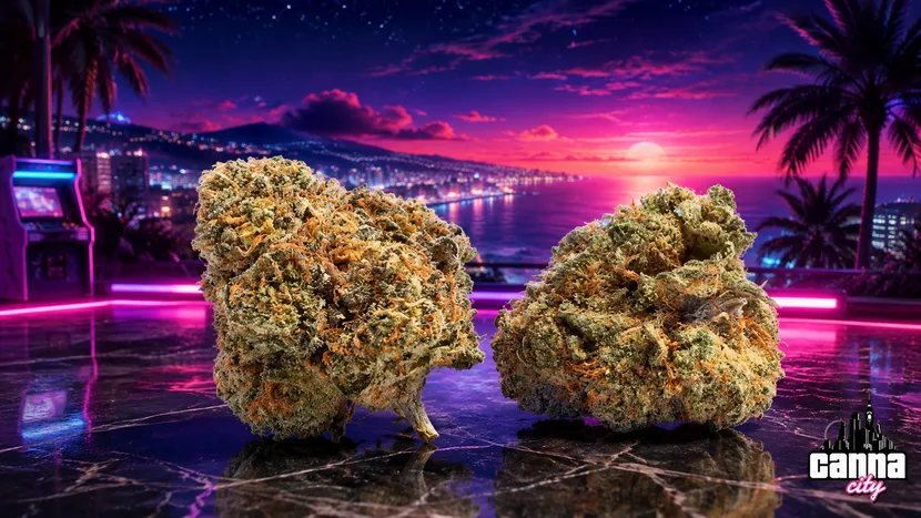 buy gushers uk weed shop Canna City
