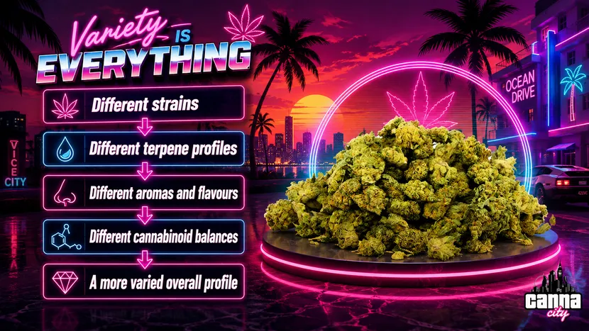 Buy Ice Cream Cake online Weed Shop CannaCity