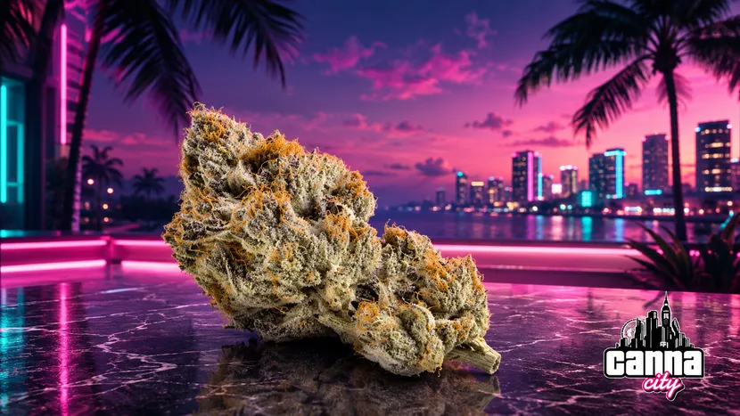 buy thc flowers uk weed shop Canna City