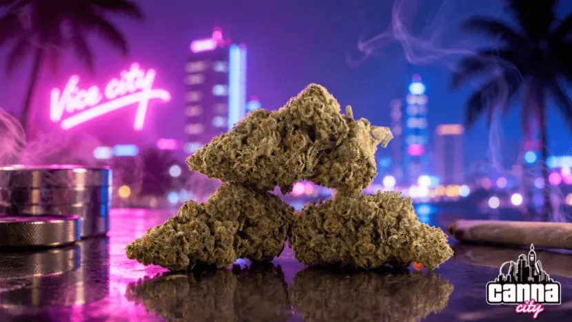 Buy Gorilla Glue # 4 Cannabis in UK online at Canna City