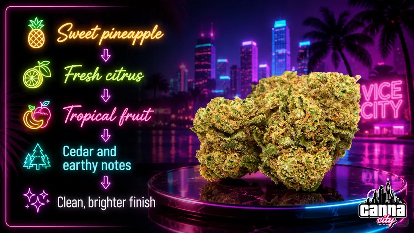 Buy moderate THC online weed shop Canna City