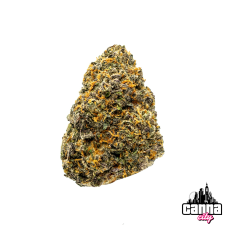 Lemon Cherry Gelato