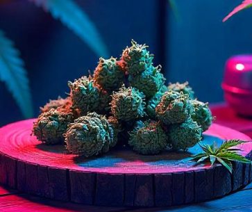 A Guide to Finding the Best Deal on an Ounce of Weed