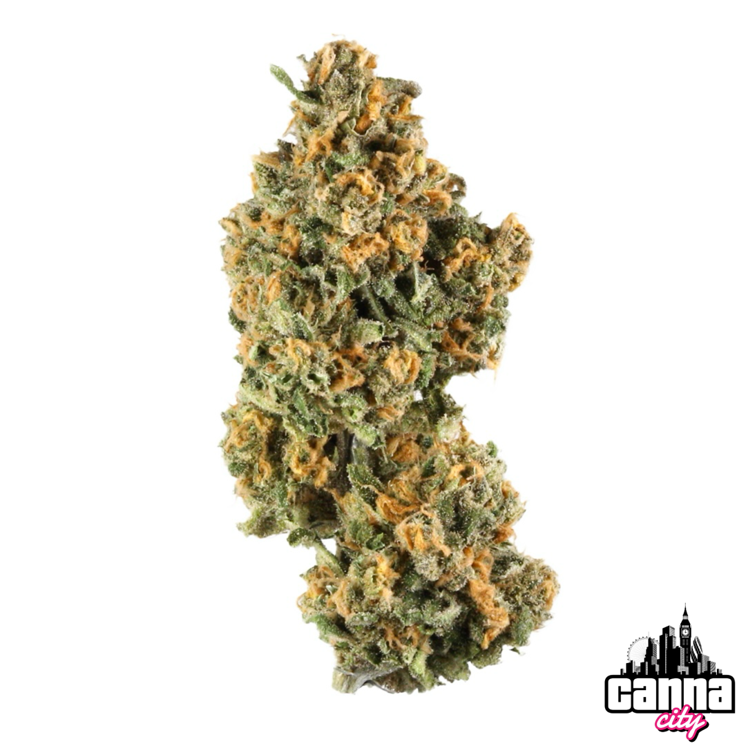 Buy Buds Malibu