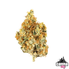 Tangerine Dream