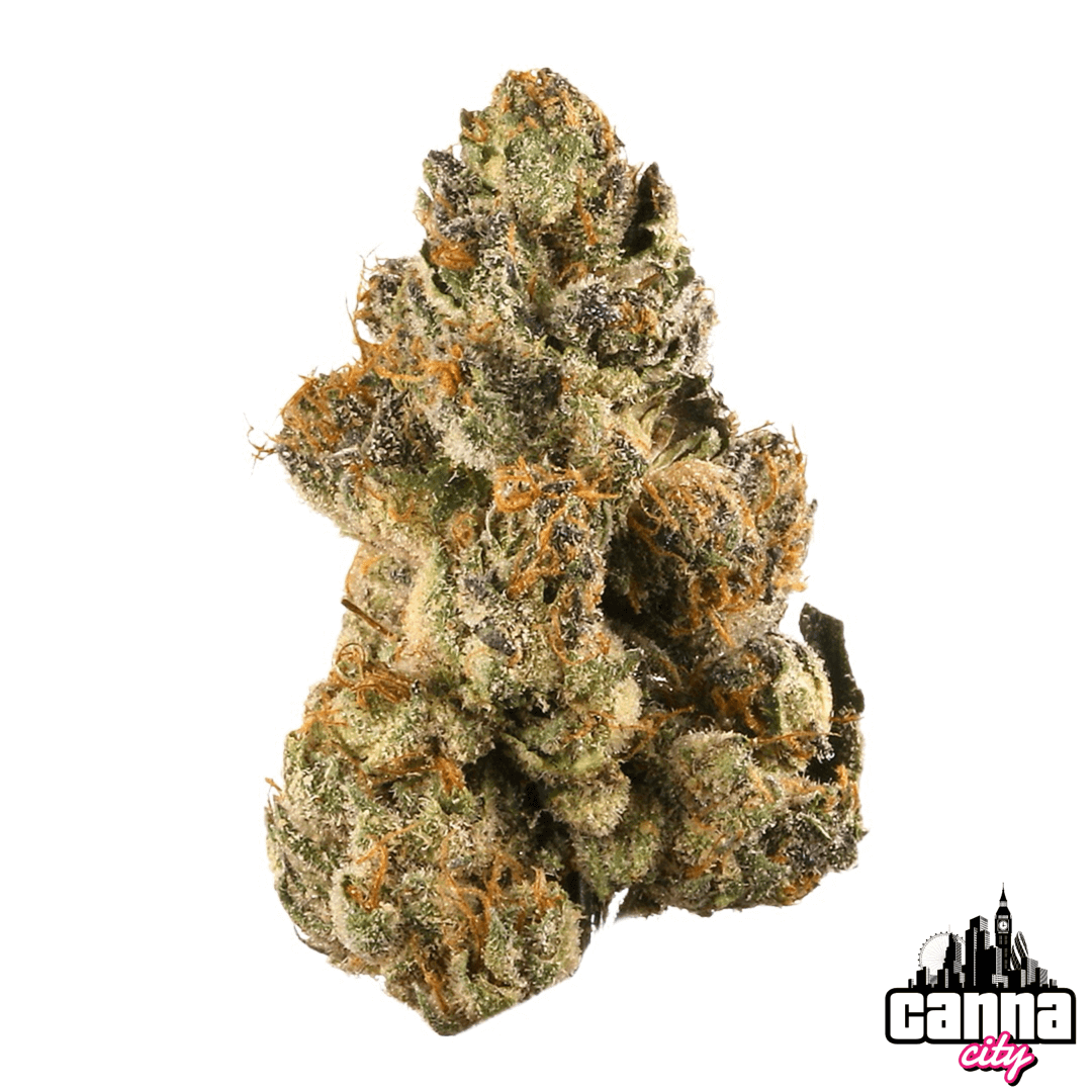 Buy Buds OG Kush