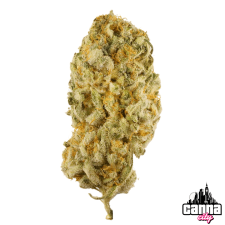 Super Silver Haze