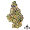 Purple Punch