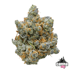 BlueBerry