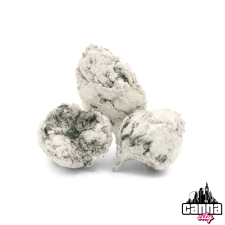MoonRock Ice