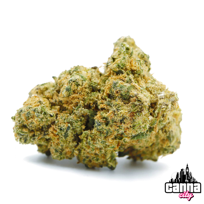 Buy Buds Hollywood