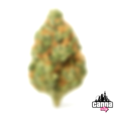 Mystery Strain