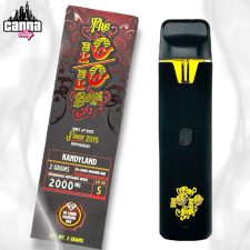 The 10/10 Boys "Kandyland" (2G)