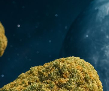 Moon Rocks: An Exceptional Cannabis Concentrate