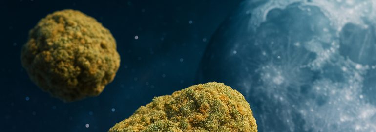 Buy THC hybrid online in Edinburgh at weed shop Canna City
