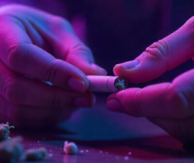 The Art of Rolling: The Definitive Guide to Rolling Joints with Filters and Weed