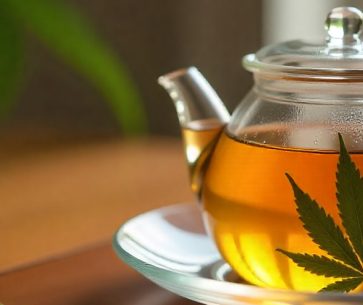 Everything You Should Know About Cannabis Tea: Brewing Instructions, Benefits, and Science