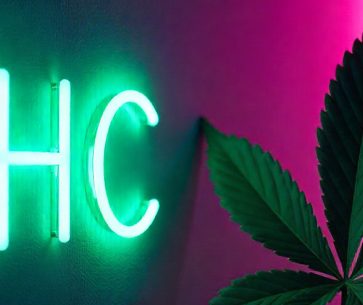 THC: The Primary Active Ingredient in Cannabis