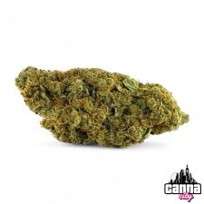 Girl Scout Cookies