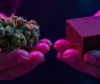 Pot and Hash: Discover the Distinction and the Experience