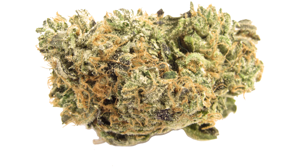 Blue Zushi Strain