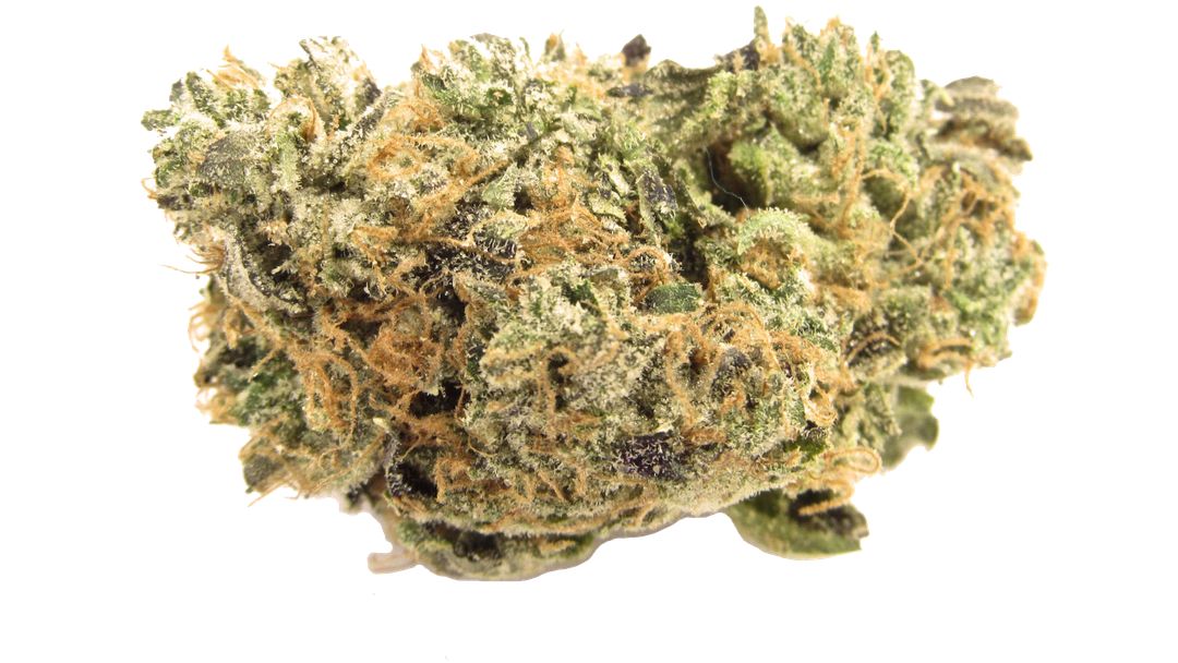Blue Zushi Strain