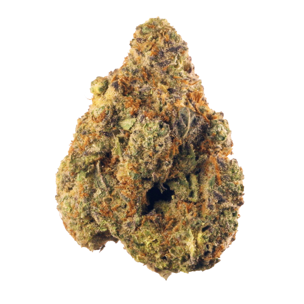 Stardawg Strain
