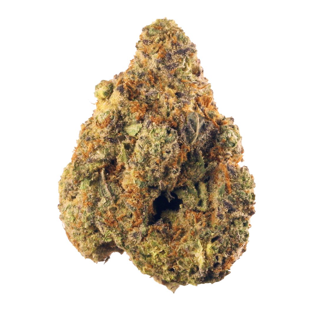 Stardawg Strain