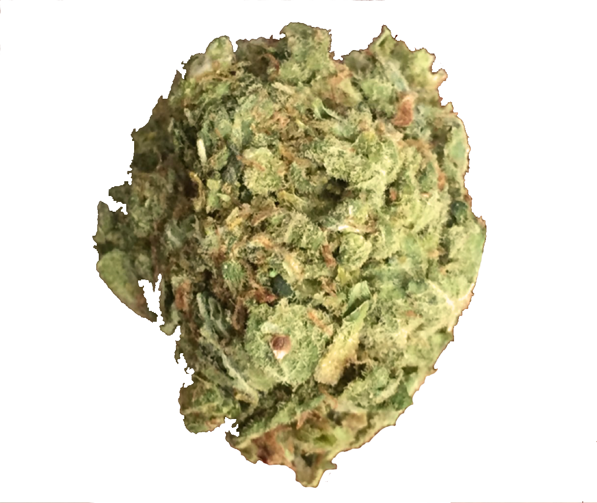 California orange Strain