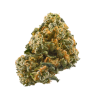 Cheese Strain