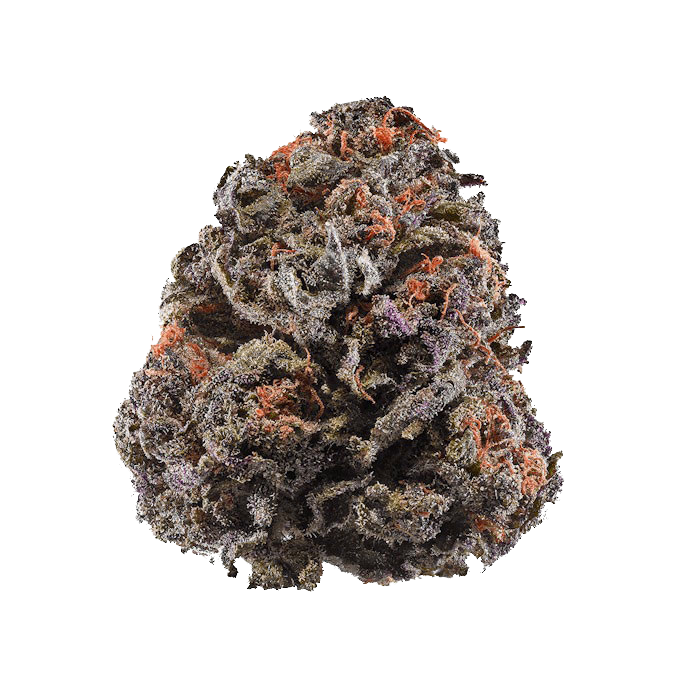 Purple grand daddy Strain