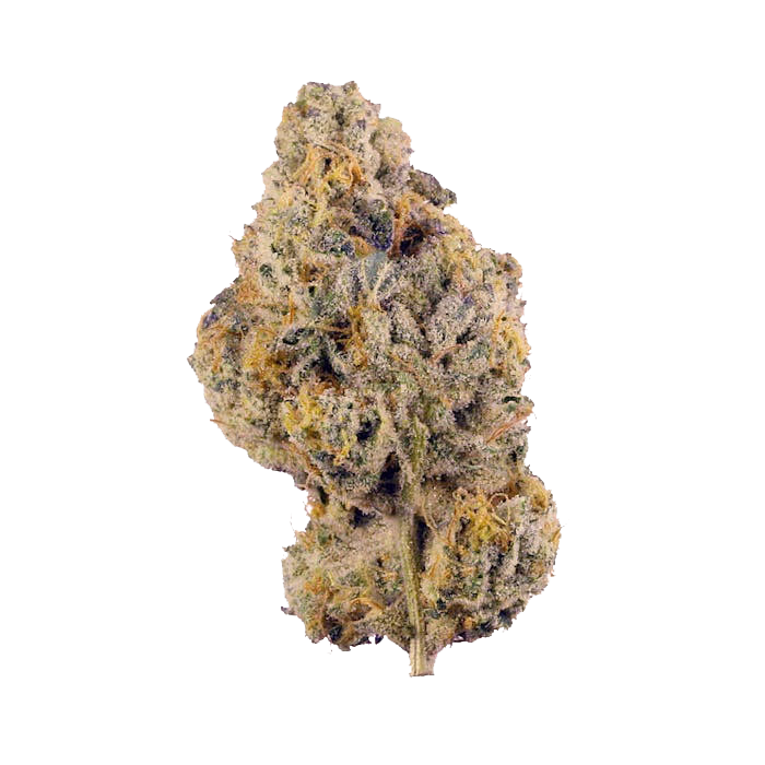 Wedding cake Strain