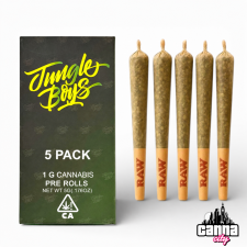 Jungle Boys (5G)