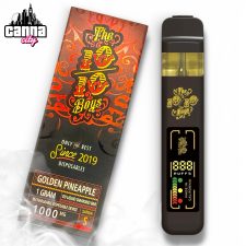 The 10/10 Boys "Golden Pineapple"