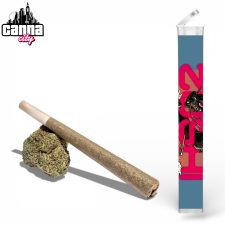 Pre-Roll Zushi