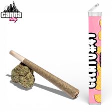 Pre-Roll Gelato 41