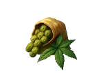 Category Buds