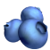 Flavor Blueberry