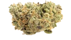 Blue Zushi Strain