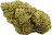 Gelato Strain