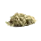 Kush mint Strain