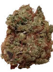Lemon Haze Strain