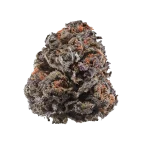 Purple grand daddy Strain