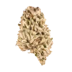 Rockstar pink Strain