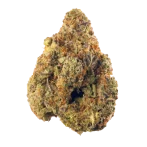 Stardawg Strain