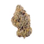 Wedding cake Strain
