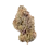Wedding cake Strain