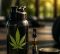 Cannabis and Exercise: What to Know Before Your Workout