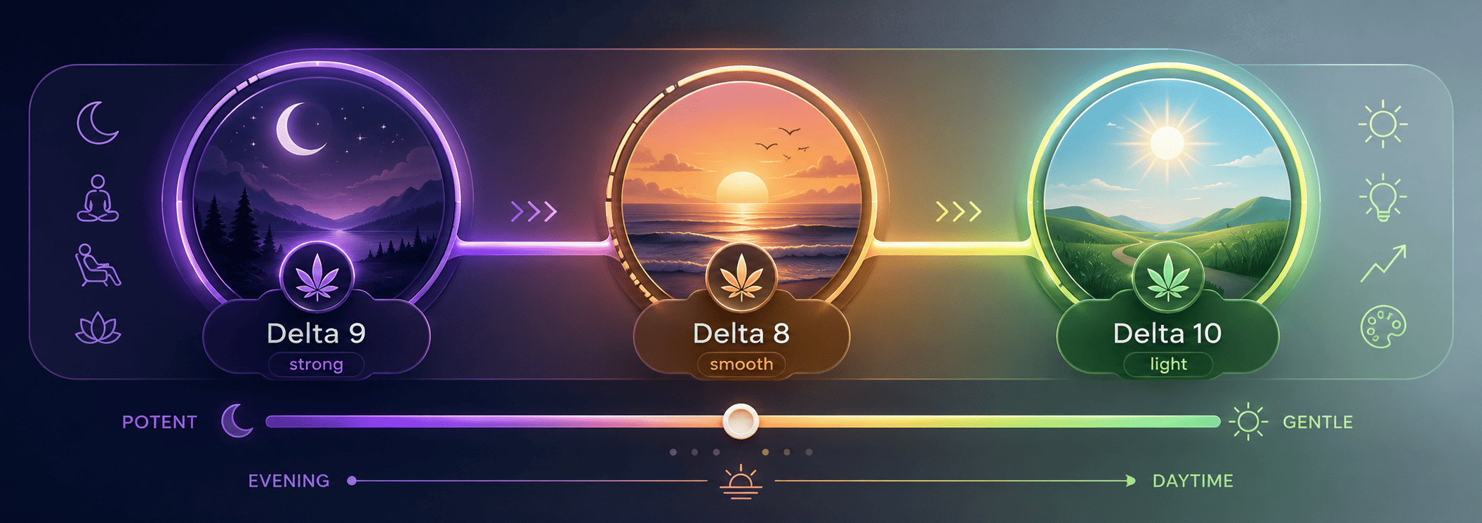 Understanding Trio: Delta 9, Delta 8 и Delta 10